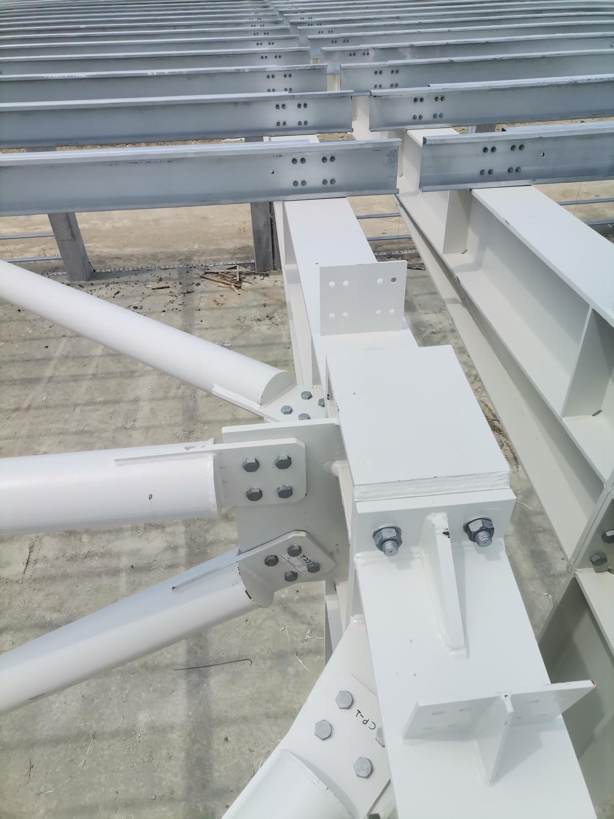 WhatsApp Image 2024-07-11 at 08.57.48 (39)